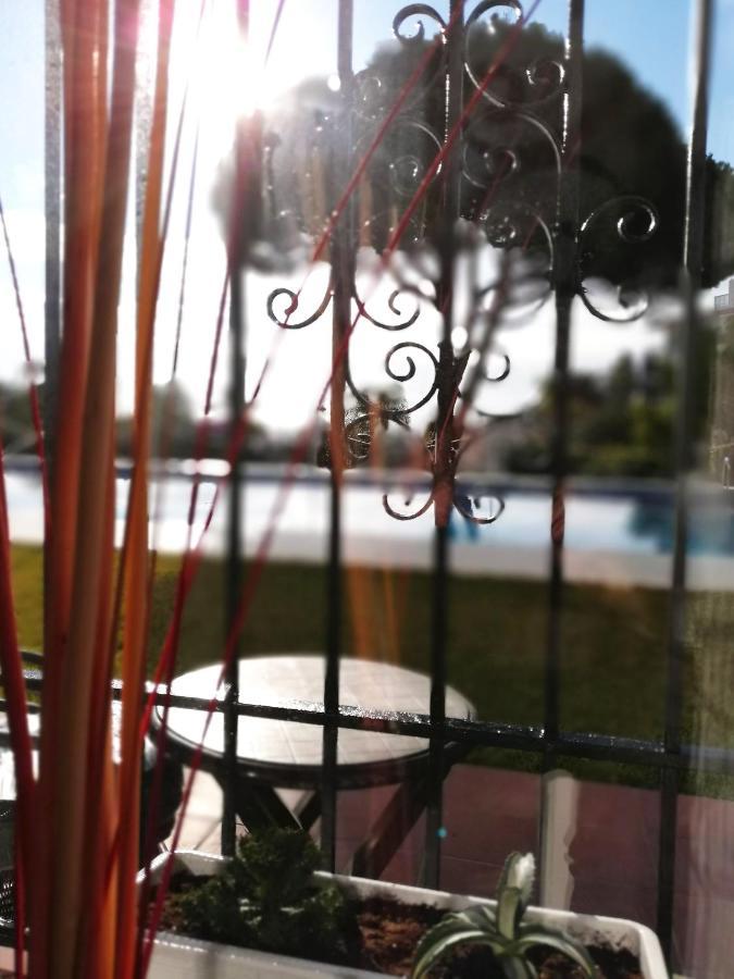 Verdemar Apartment With Sea View And Garden Nerja Zewnętrze zdjęcie