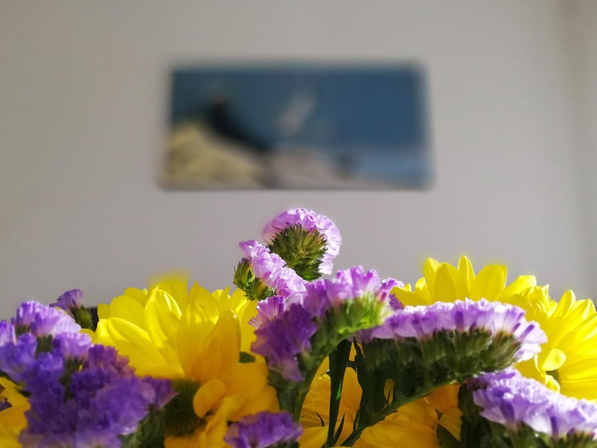 Verdemar Apartment With Sea View And Garden Nerja Zewnętrze zdjęcie